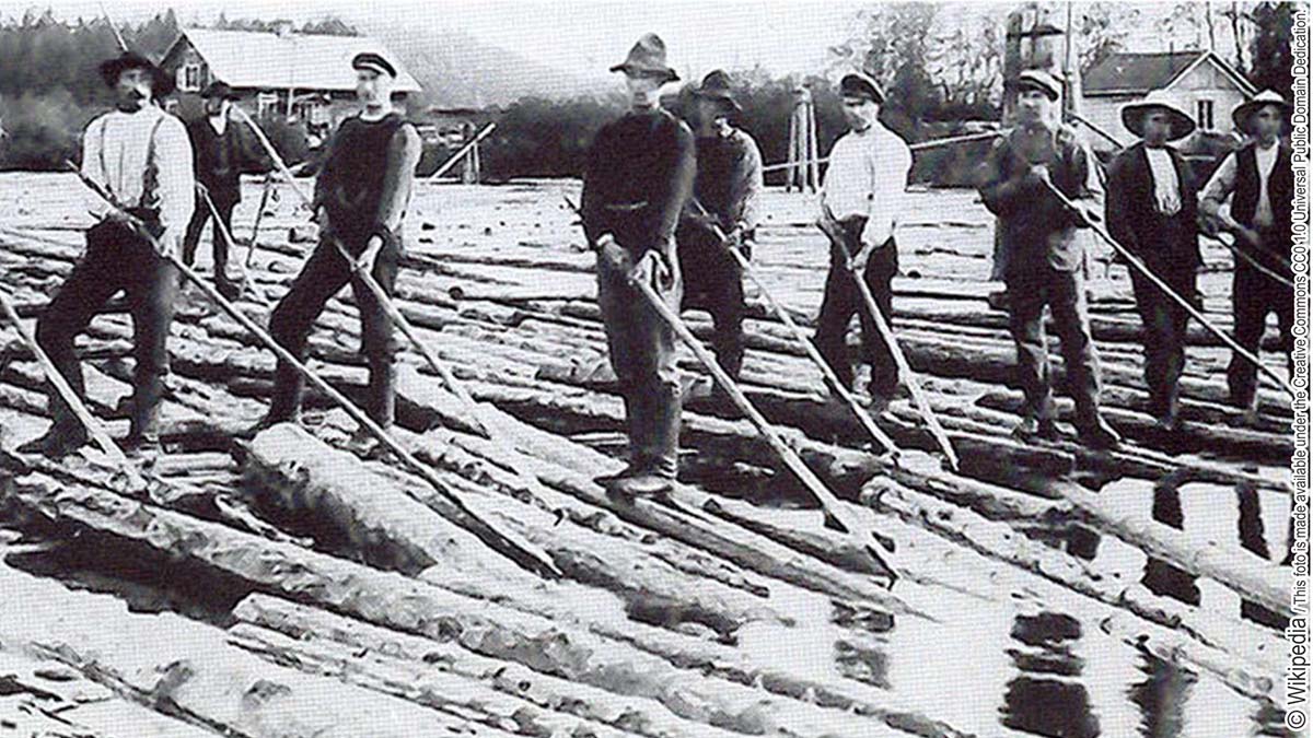 Floßmeister und Arbeiter bei der Langholz - Flößerei - bis etwa Anfang des 20. Jahrhunderts überall in Europa die gebräuchliche Art des Holztransports.