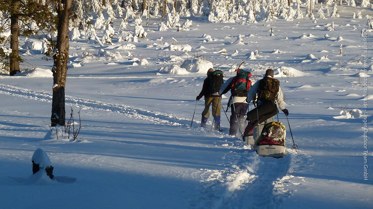 Die Winteraktivitäten sind nur für Kleingruppen geeignet - hier im Bild: auf dem Weg zu unserem Biwakplatz, in den Pulka - Ziehschlitten wird das gesamte Gepäck transportiert.